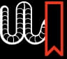 Worm Reads